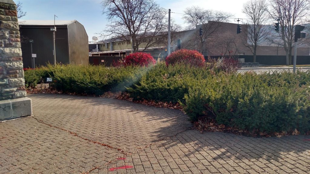 Village of Painted Post Garden Before Restoration